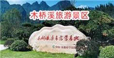 深夜激情啪啪啪免费大奶子骚逼app下载网站